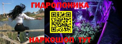 стаф Кунгур