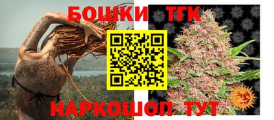 ECSTASY Аргун