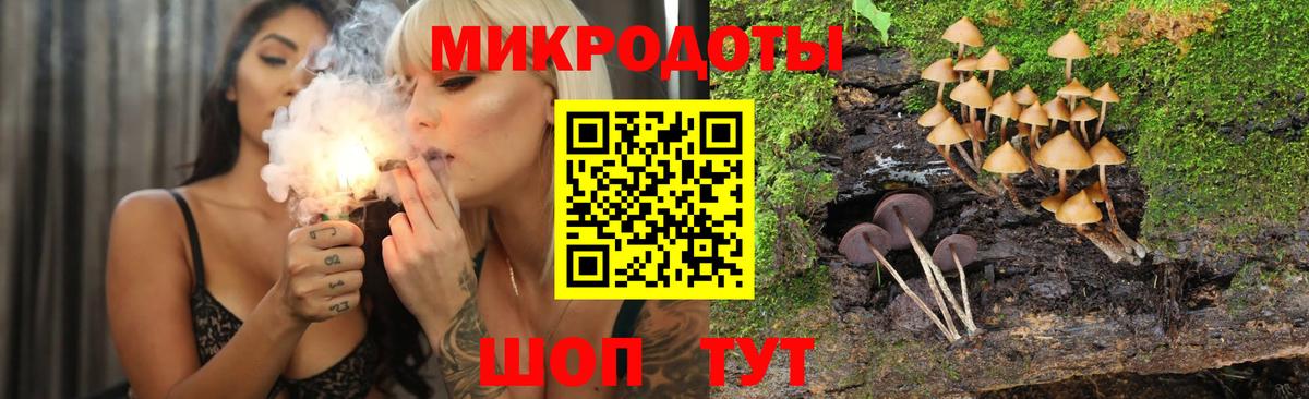хочу   Галлюциногенные грибы прущие грибы  Вятские Поляны  Вход с VPN  Галлюциногенные грибы мицелий 