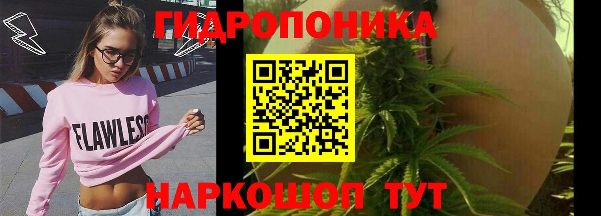 Марихуана THC 21%  Марихуана SATIVA & INDICA  Вятские Поляны  Каннабис OG Kush  Вход с VPN 